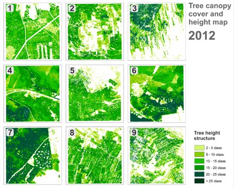 Tree canopy cover and height map from the point cloud from 2012 aerial ...