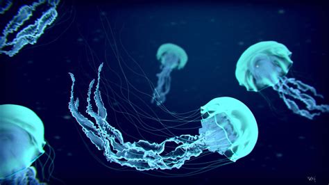 Jellyfish Laptop Wallpapers - Top Free Jellyfish Laptop Backgrounds ...