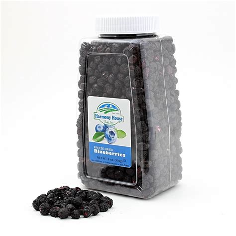 Freeze Dried Blueberries for Sale | Dried Blueberries Wholesale