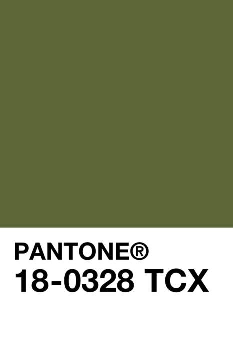 Pin by SUNDRY on Green | Pantone palette, Pantone green, Pantone colour ...