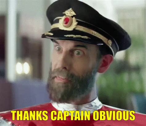 Thanks Captain Obvious Meme