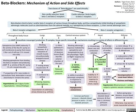 Beta Blockers: Mechanism of Action and Side Effects | Calgary Guide