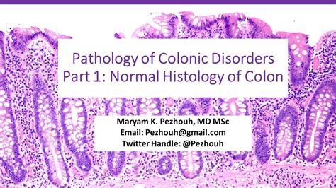 Pathology of Colonic Disorders, Part1: Normal Histology of Colon - YouTube