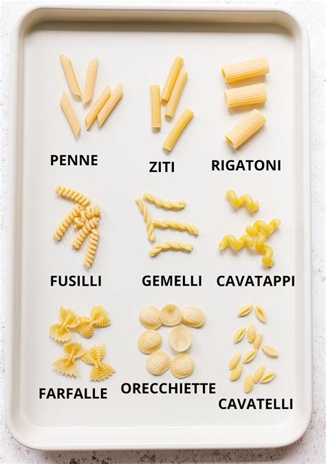 Best 15 Short Pasta Shapes and Their Uses - Familystyle Food