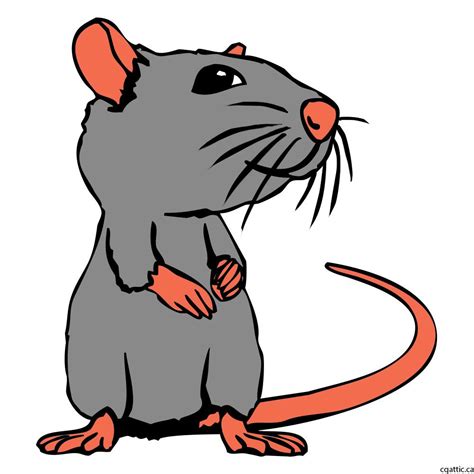 Rat Cartoon Drawing at GetDrawings | Free download