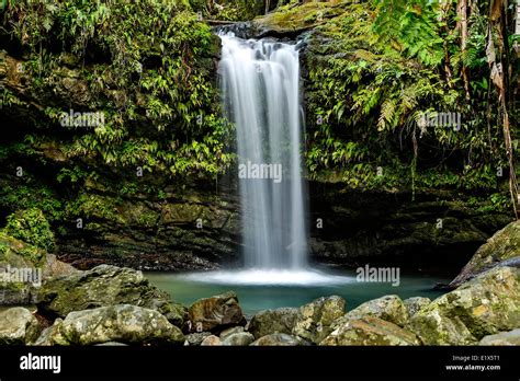 Juan Diego Waterfall, Caribbean National Forest (El Yunque Rain Forest ...