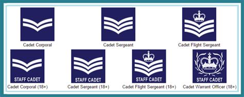 1206 (Mercian) Squadron RAF Air Cadets Lichfield - the Next Generation ...