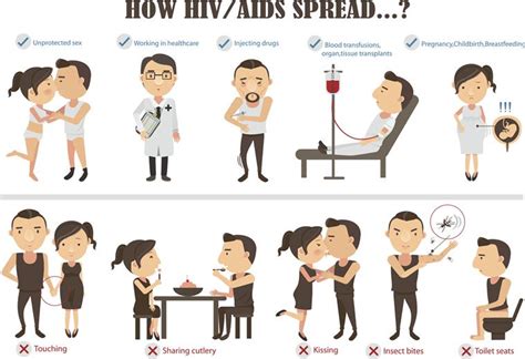 Hiv Transmission Myths