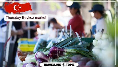 Top 7 Istanbul Farmers Markets Near Me | Fruit Market