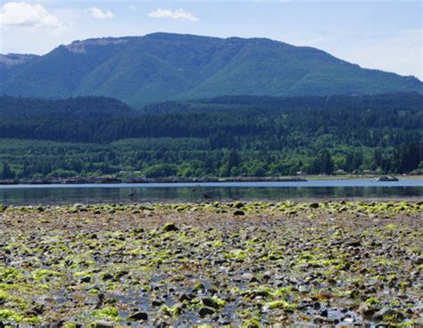 Our Farms | Taylor Shellfish Farms, Seattle WA