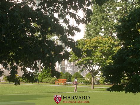 Harvard Wallpapers - Top Free Harvard Backgrounds - WallpaperAccess