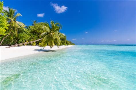 Maldives Beaches Reviews | U.S. News Travel