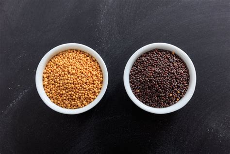 Yellow Mustard Seeds Vs. Black Mustard Seeds: SPICEography Showdown