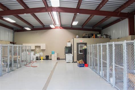 dog kennel buildings are the ideal low cost, low maintenance solution