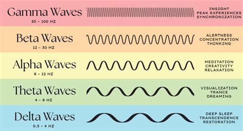 Understanding Brain Waves: Beta, Alpha, Theta, Delta + Gamma