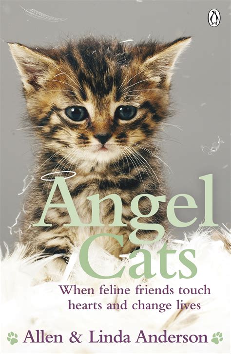 Angel Cats by Allen Anderson - Penguin Books New Zealand