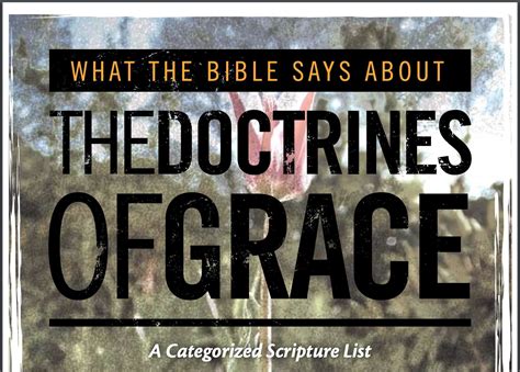 The Doctrines of Grace