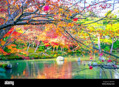 Autumn forest with river Stock Photo - Alamy