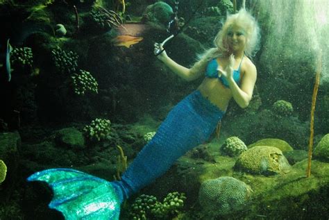 Cynthia Mermaid: Mako Mermaids Q&A