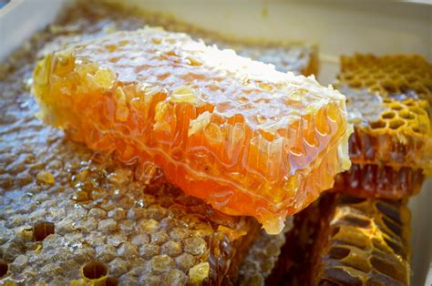 Organic Raw Honey from Mariovo Region in Macedonia - Macedonia Nature