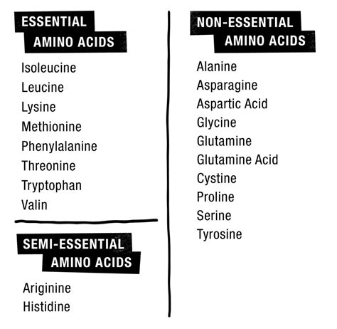 How much essential amino acids should I take? [2022] | QAQooking.wiki