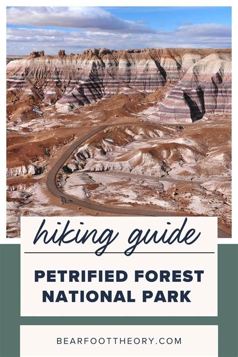 6 Best Petrified Forest National Park Hikes – Bearfoot Theory