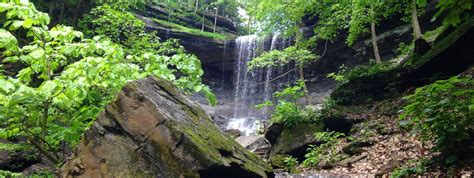 Favorite Hikes on the Finger Lakes Trail – Go Finger Lakes