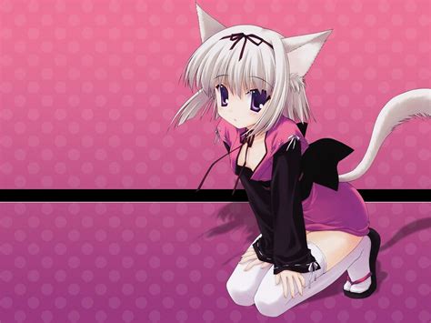 🔥 [40+] Cute Neko Anime Wallpapers | WallpaperSafari