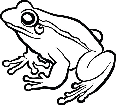 Frog clipart outline, Frog outline Transparent FREE for download on ...