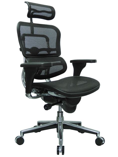 Raynor Ergohuman Chair Review - UltimateGameChair