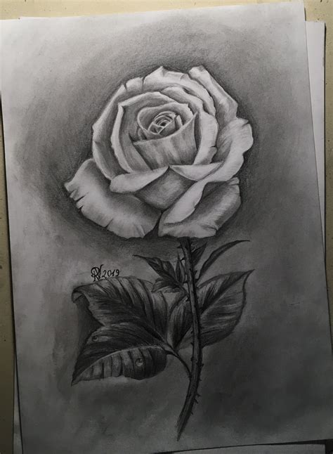 Black And White Realistic Rose Drawing - Pin By Victoria On Black And ...