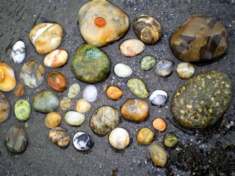 Patricks Point State Park Agate Beach | Rock hunting, Rock hounding ...