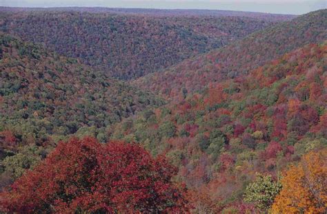 6 Best Fall Foliage Drives in Western Pennsylvania