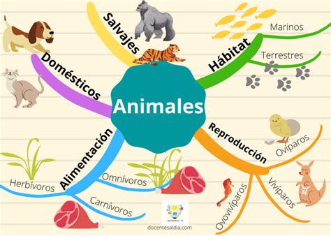 21+ Ejemplos De Mapas Mentales En Word Tips - Boni