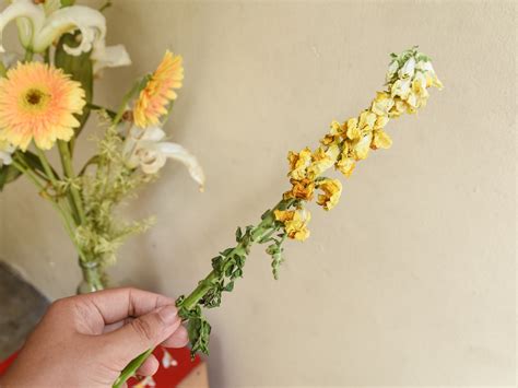 How to Arrange a Bouquet of Flowers: 15 Steps (with Pictures)