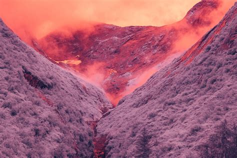 Infrared Photography Transforms Alaskan Landscape into Another Planet