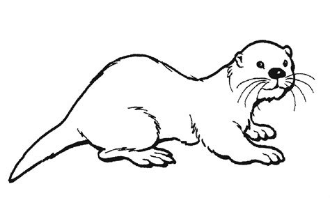 Otter - Free Colouring Pages