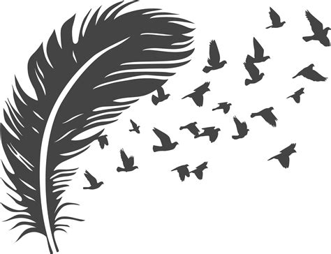 Feather SVG | Karimoos