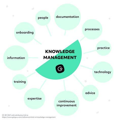 What is Knowledge Management? The 2024 Guide