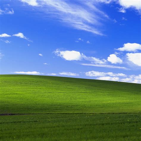 Windows Xp Wallpaper – newstempo