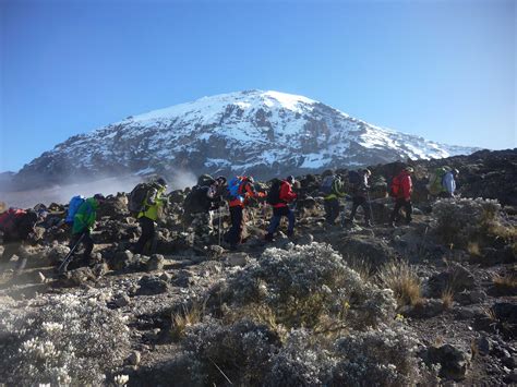 Hiking Mount Kilimanjaro | Mount Kilimanjaro | Tanzania Safaris Tours