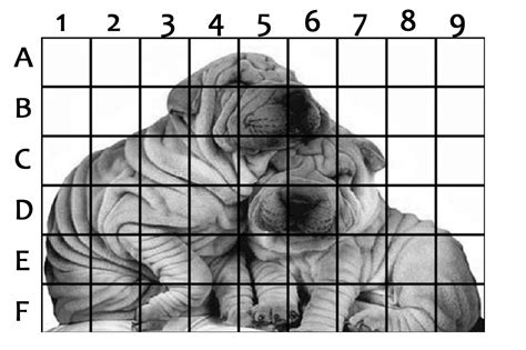 Grid Drawing of two puppies as an option for the Project #3. Click to ...