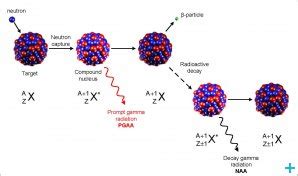 Neutron Activation Analysis - Chemical analysis - Techniques for ...