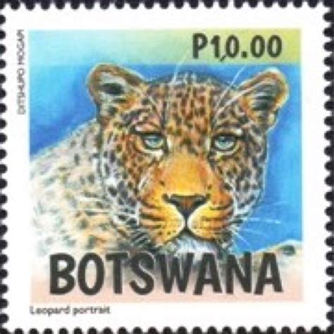 Commonwealth Stamps Opinion: 946. New Botswana Stamps Depict Leopards.