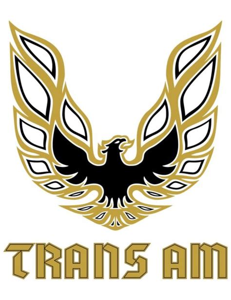 Pontiac Firebird Trans Am Gold Bird LOGO (White Back) POSTER 24 X 36 ...