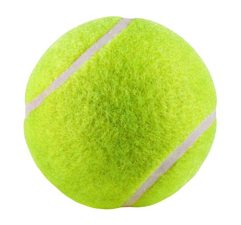 Tenisball : Chuckit Tennis Ball Pitupita Ist Spezialisiert Fur ...