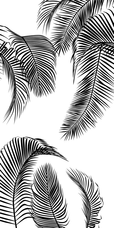 Free Palm Leaf Transparent, Download Free Palm Leaf Transparent png ...