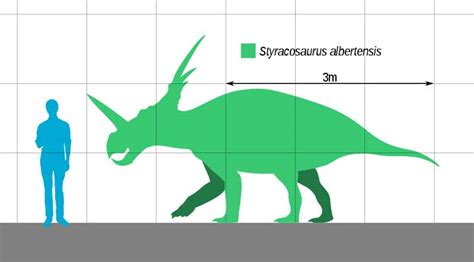 Styracosaurus | A Spiked Dinosaur from the Late Cretaceous