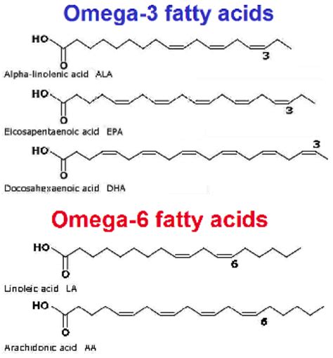 Omega-3’s & 6’s — Dr. Matthew Castanho