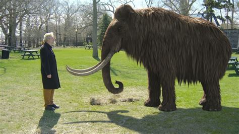 Woolly Mammoth Cloning Debate Reignited by South Korean 'De-Extinction ...